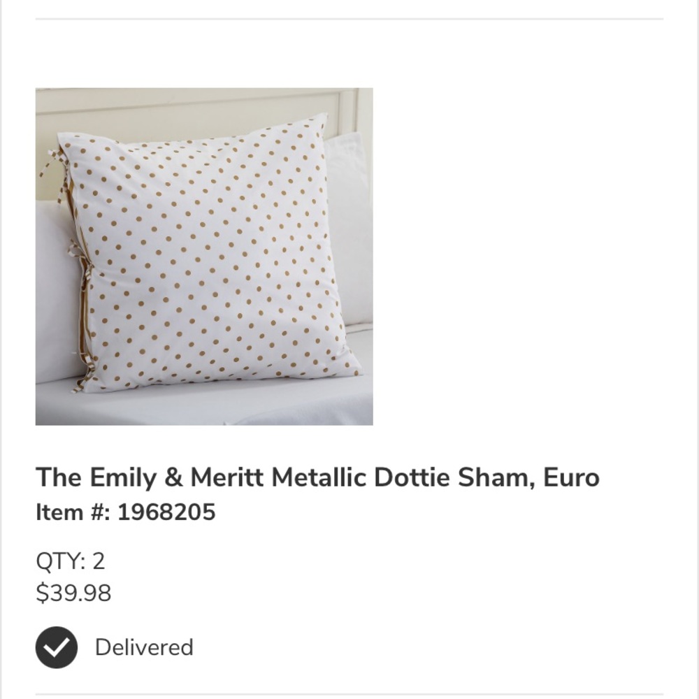 Pottery Barn Teen Euro Shams (2)